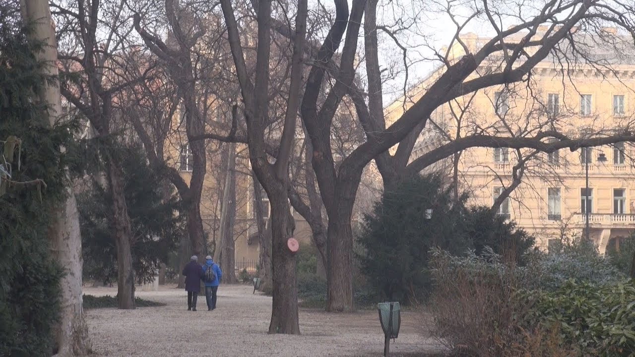 Meg&uacute;jul a Muzi
