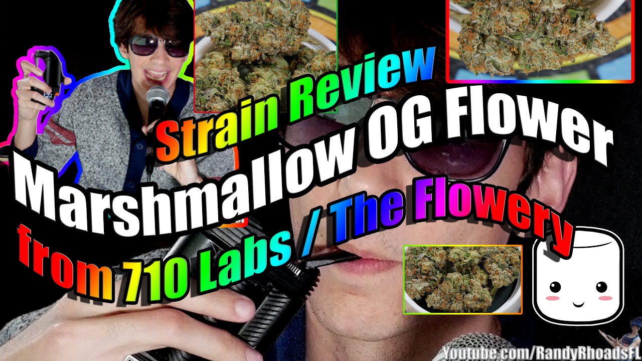 Marshmallow OG 🍥 Flower from 710 Labs / The Flowery in Florida 🏝 | Strain Review