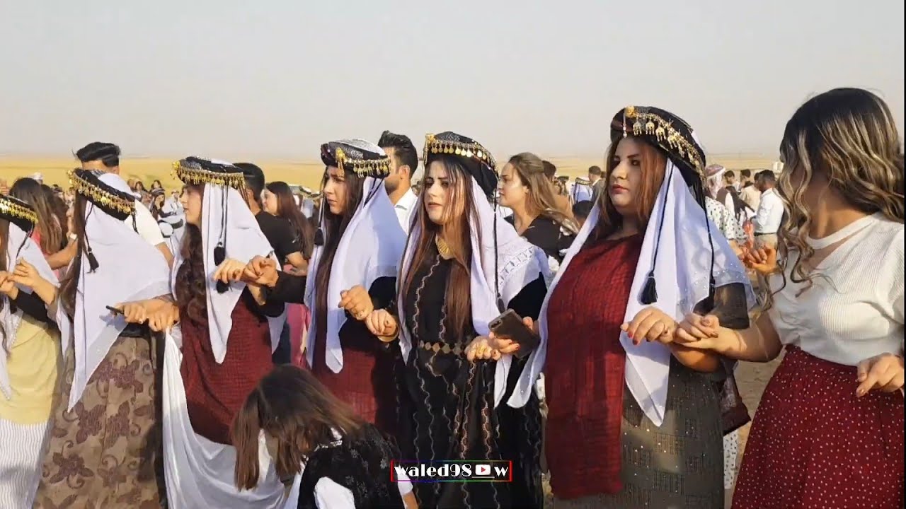 هيفارا طوافا بوزا