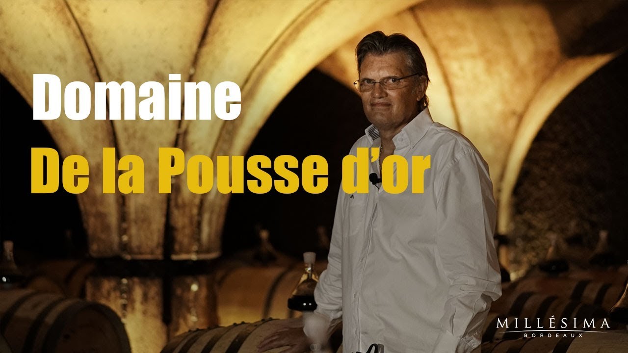 DOMAINE DE LA POUSSE D'OR - BOURGOGNE - MILLESIMA