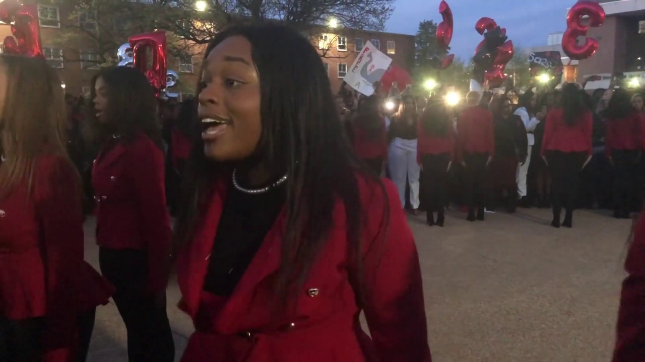 Delta Sigma Theta Ascendant 50 Howard University