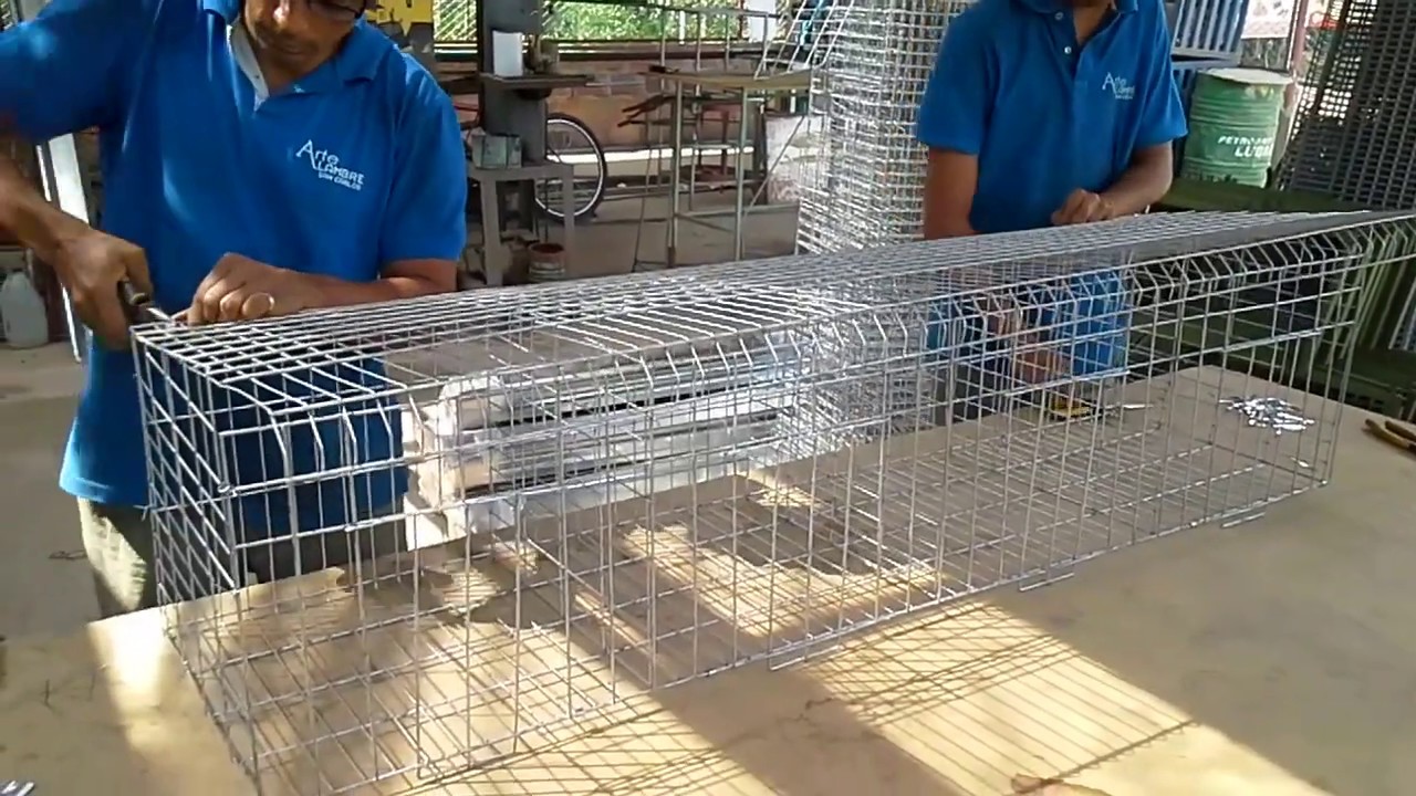 20151119 VIDEO ARMADO JAULA PARA GALLINAS