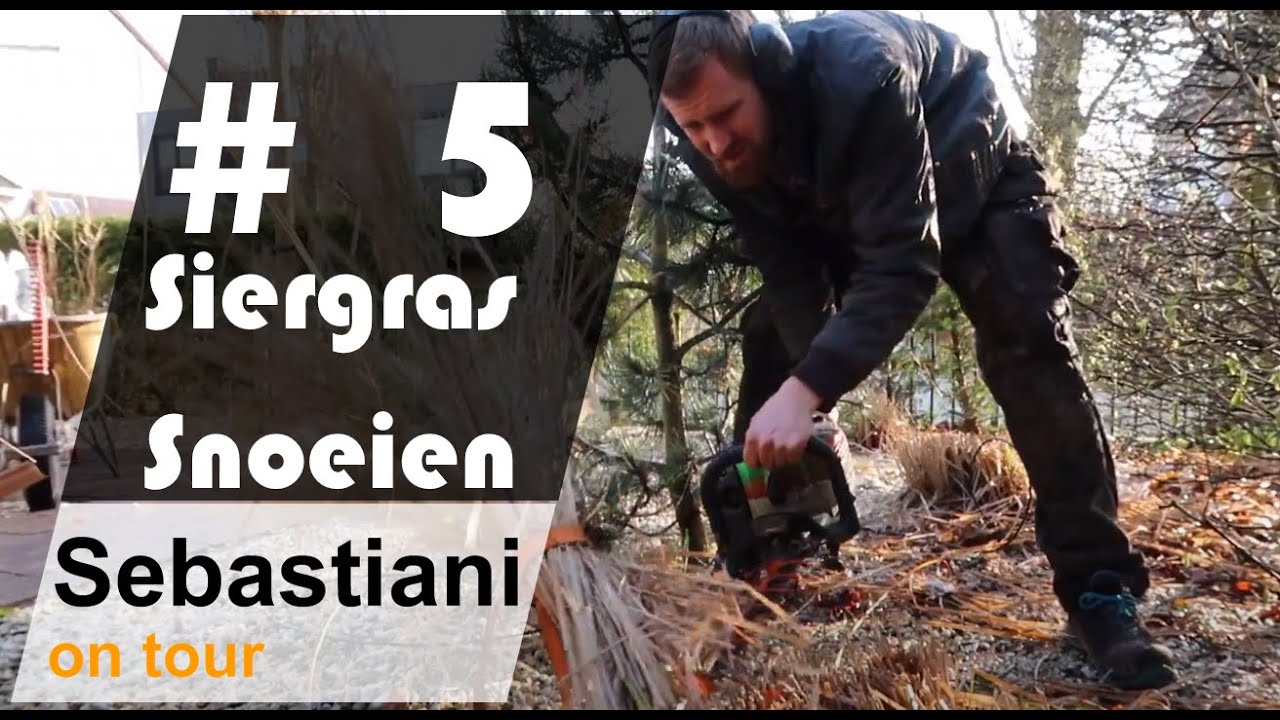 Hoe snoei je een siergras? SEBASTIANI ON TOUR #5