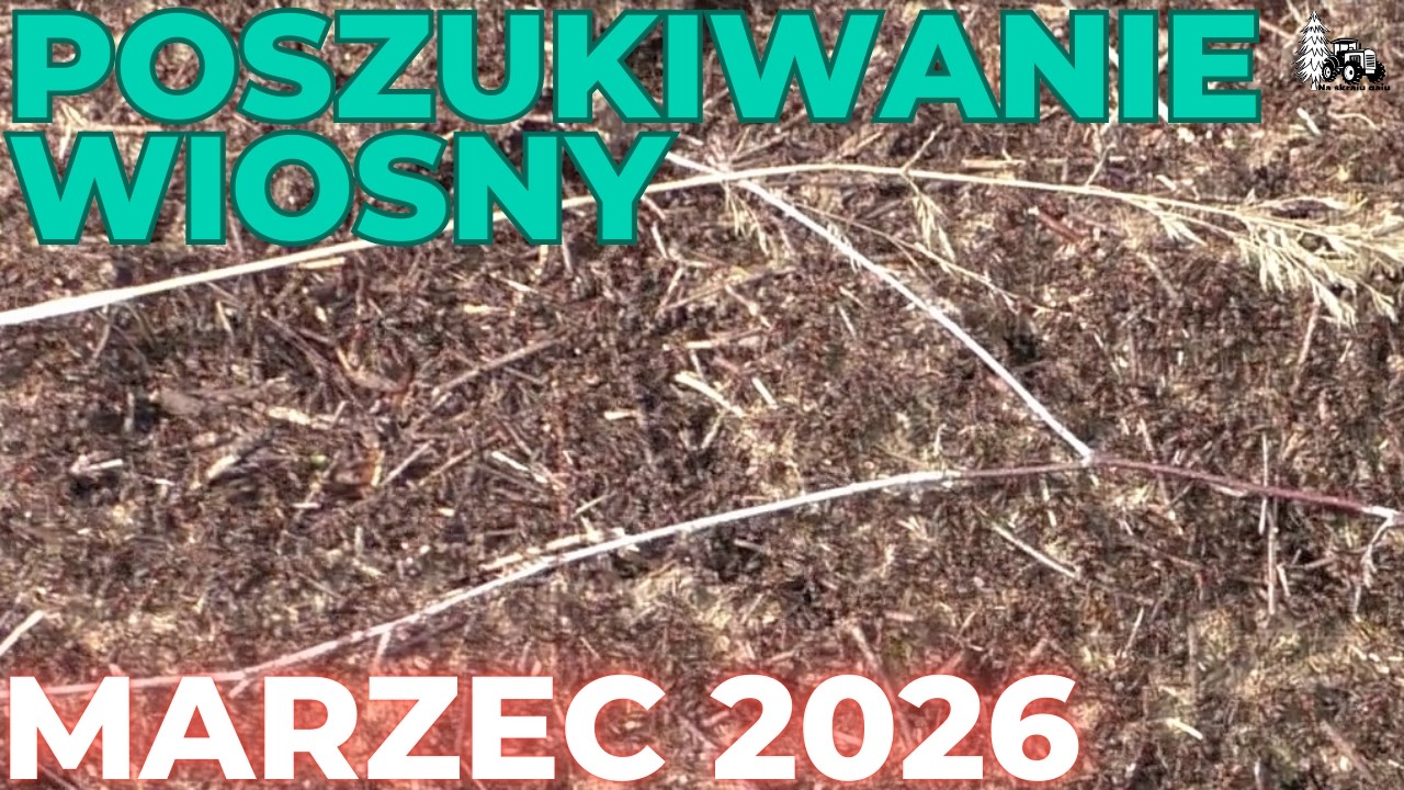 W poszukiwaniu wiosny 2026. Jakie oznaki znajdziemy na spacerze z psem?