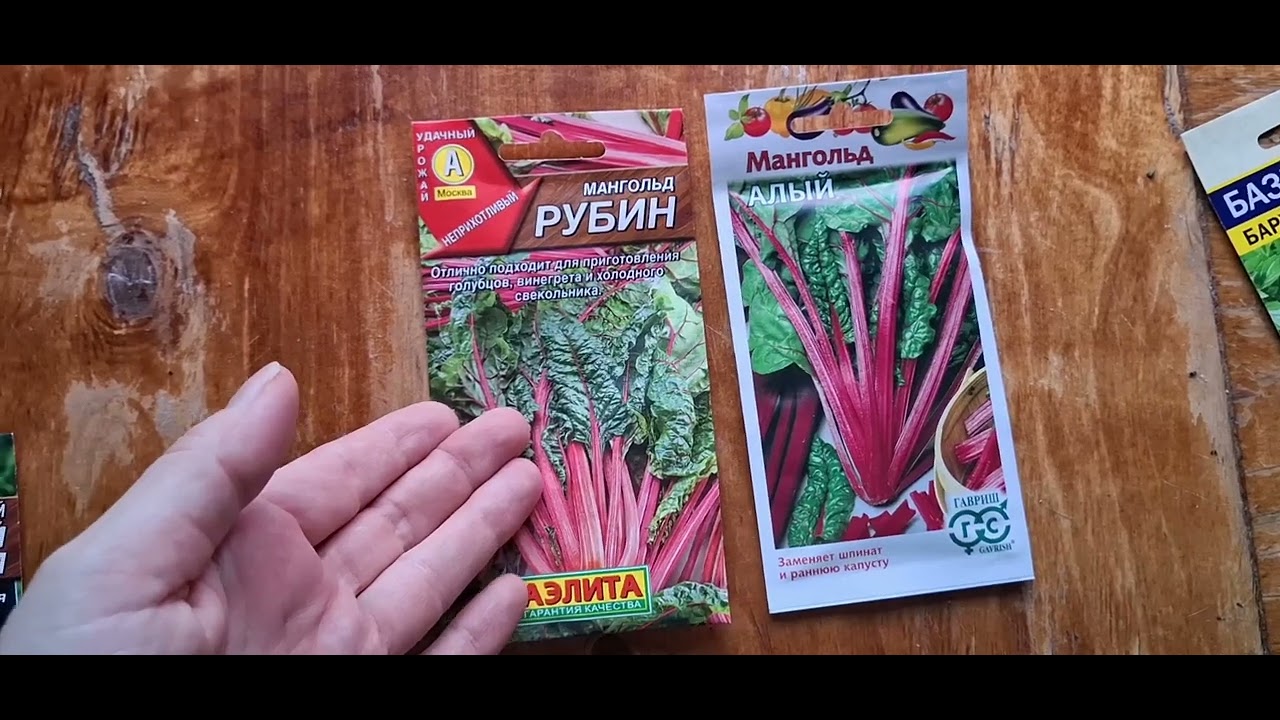 Большой обзор пряных и ароматических трав