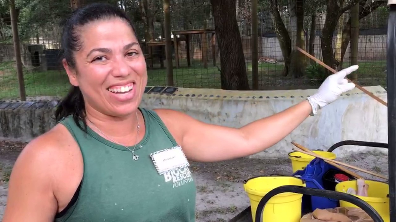 International Tiger Day 2017 Part 2 of 3