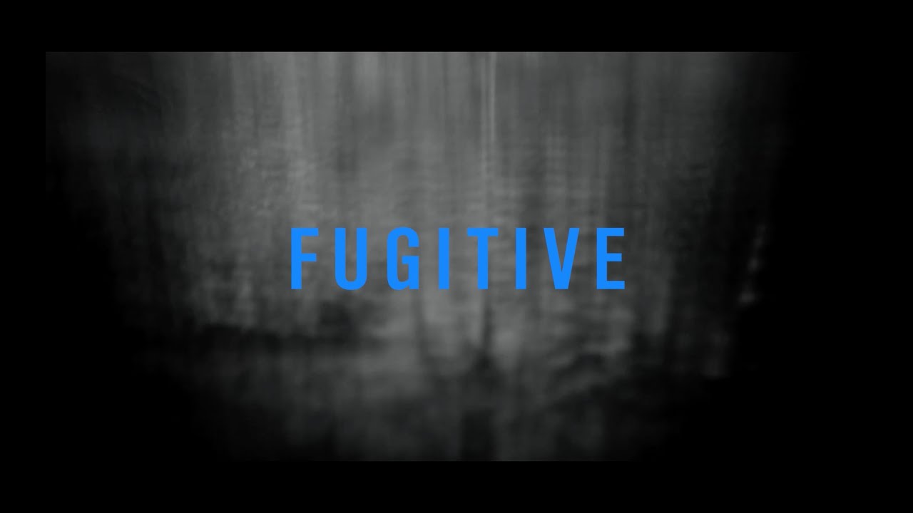 Apes & Horses - Fugitive