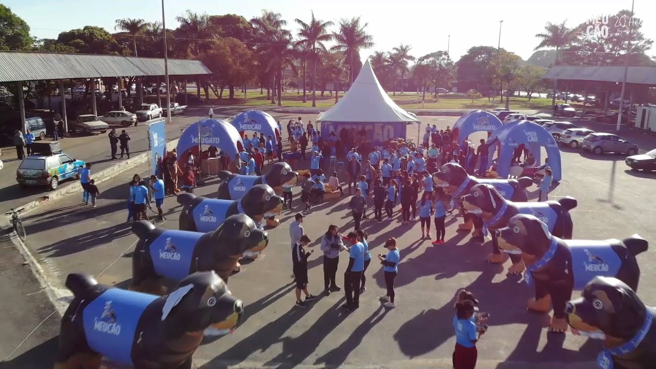 Corrida - #MeuC&atilde;o 20 anos fazendo hist&oacute;rias