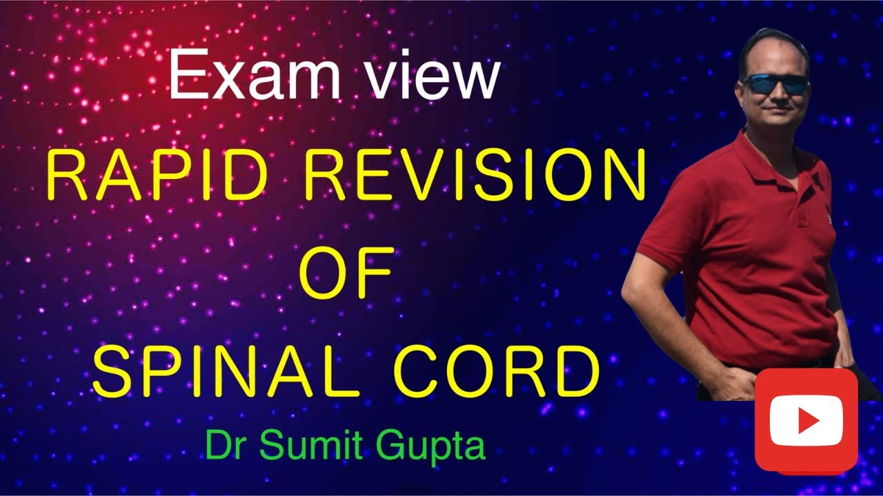 Spinal cord quick revision in Hindi