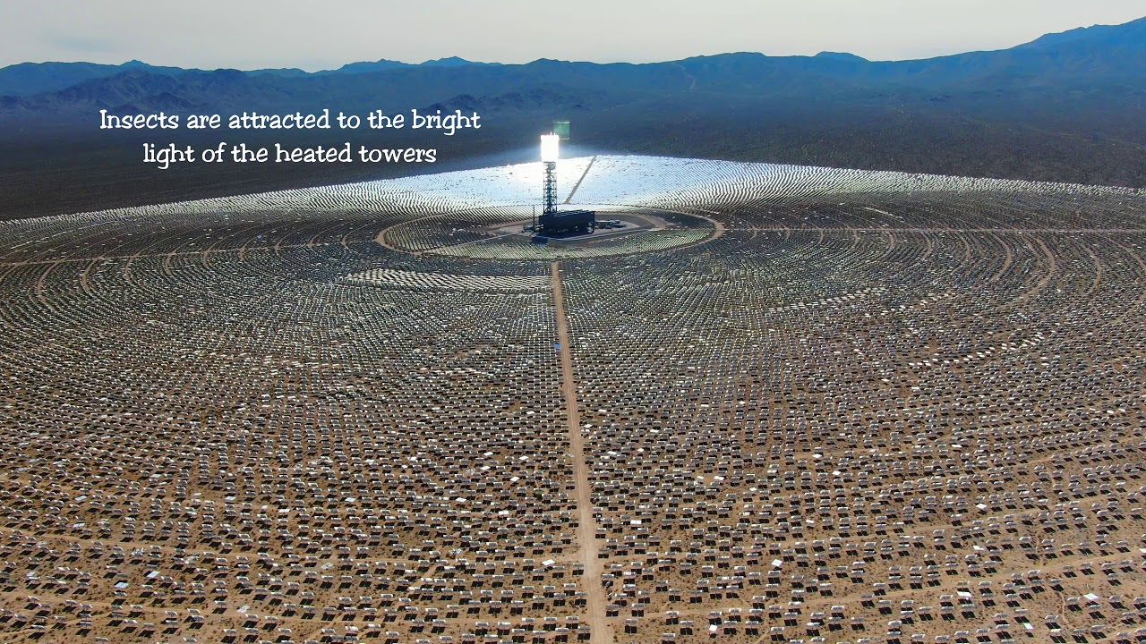 Ivanpah Solar Power Plant