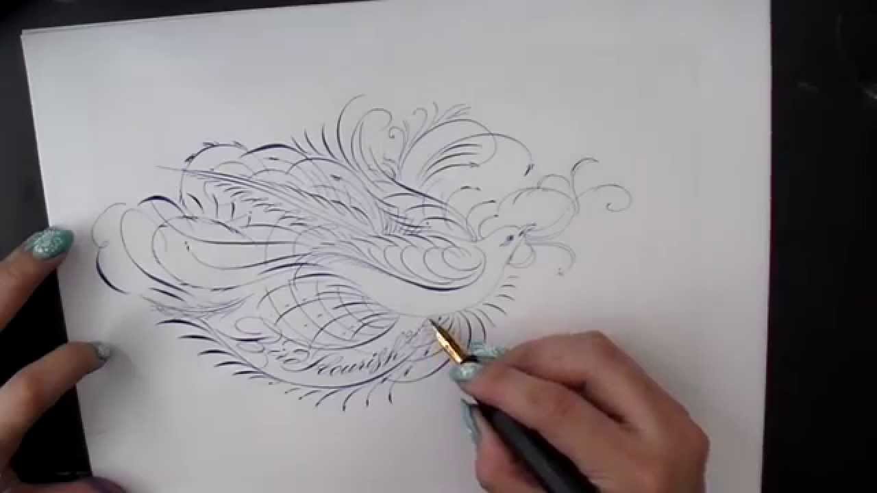 Bird Flourishing with a fountain pen with vintage gold nib
