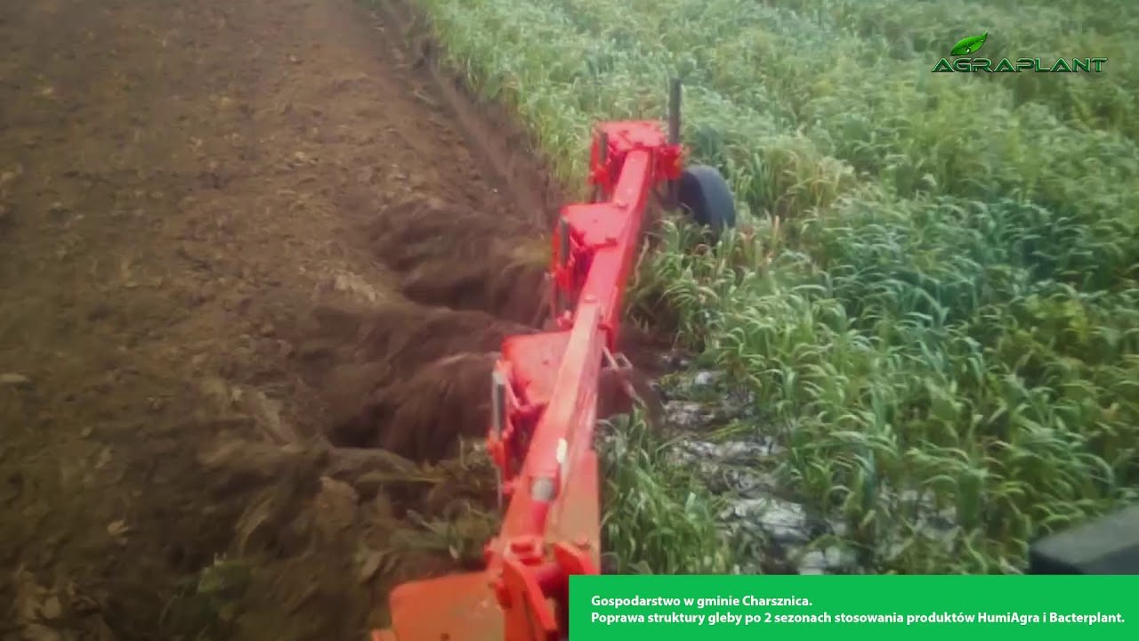 Poprawa struktury gleby po zastosowaniu HumiAgra i Bacterplant