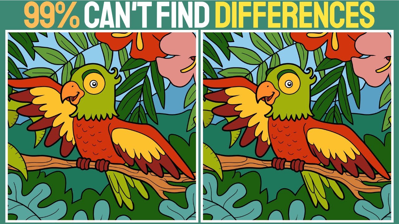 【Spot the difference】⚡️99% can't find differences!! | Find 3 Differences between two pictures