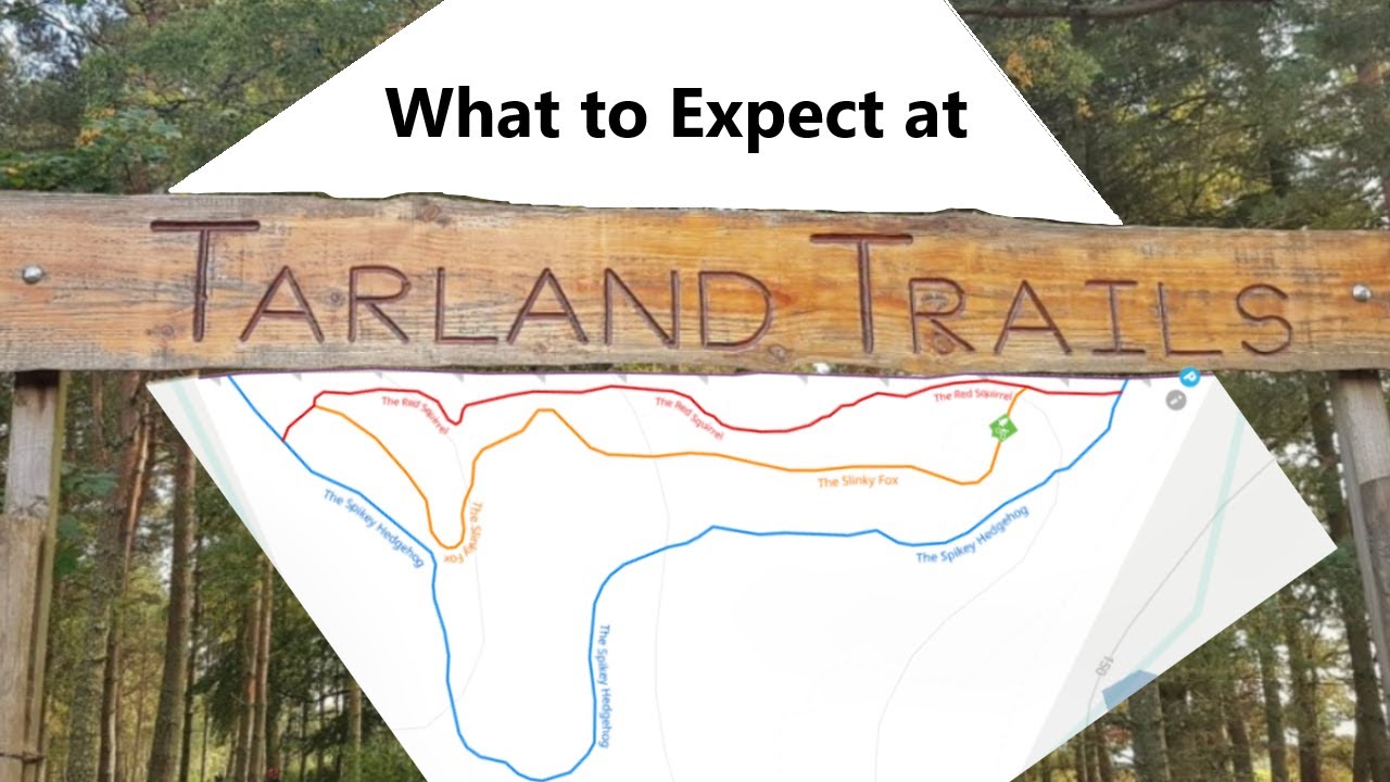 Hitting all of Tarland Trails - Aberdeenshire MTB Scotland
