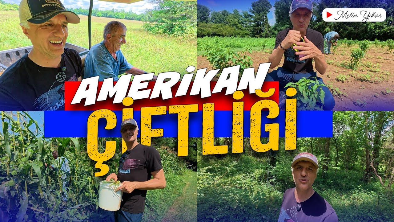 Amerika'da Çiftlik Hayatı: Orhan Abi'nin Organik Bahçesi | 4K