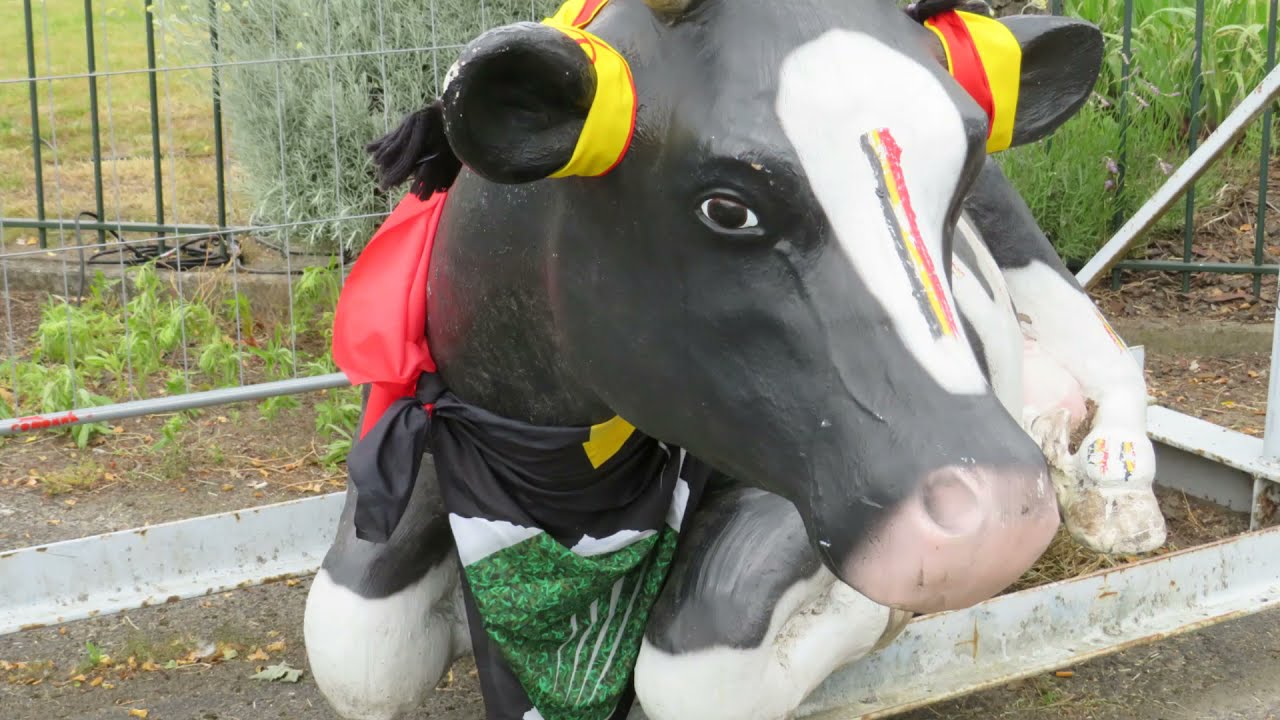 STEENHUFFEL (LONDERZEEL)
