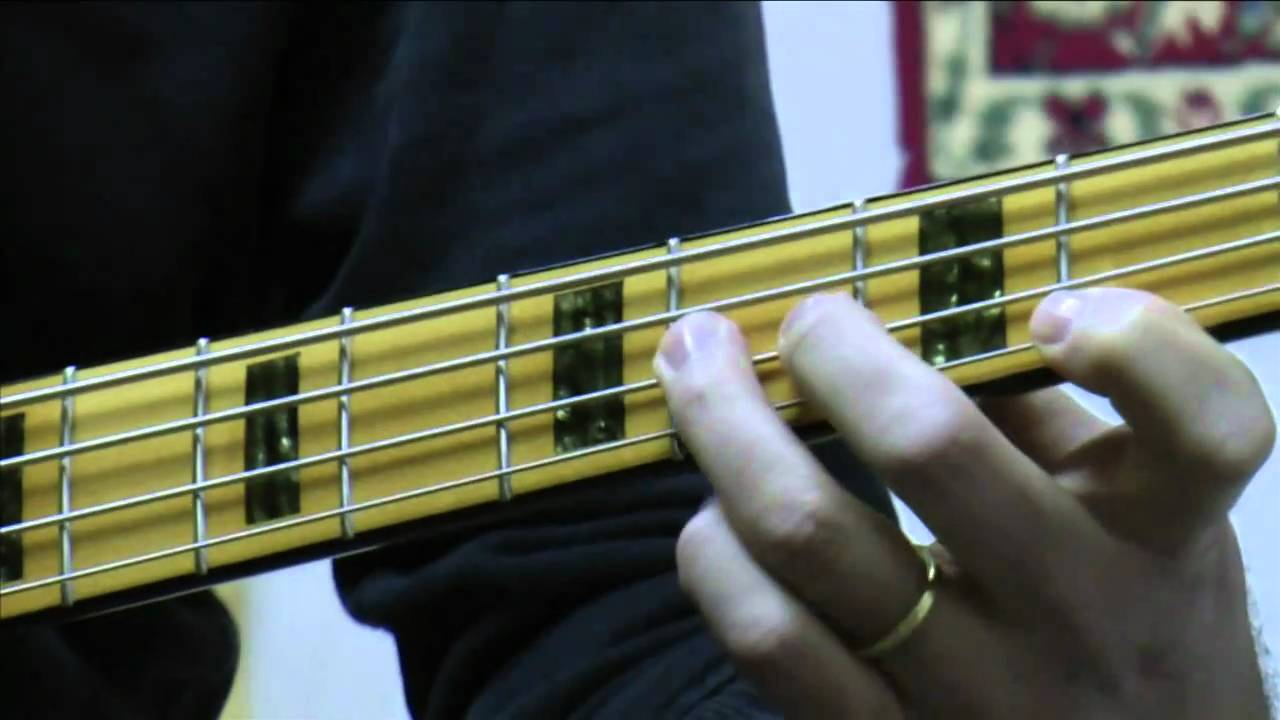 Willows Spunky Standard Bass - 