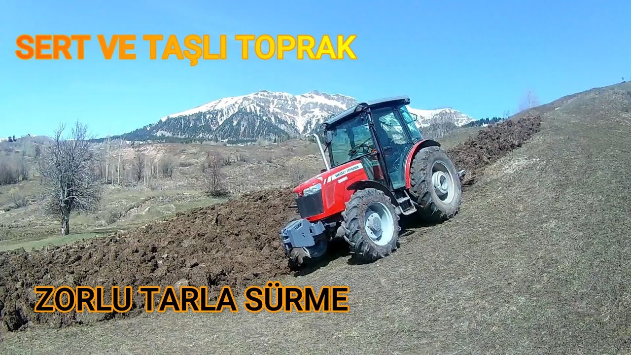 KÖYDE TOPLU TARLA SÜRÜYORUZ MASSEY FERGUSON 3625