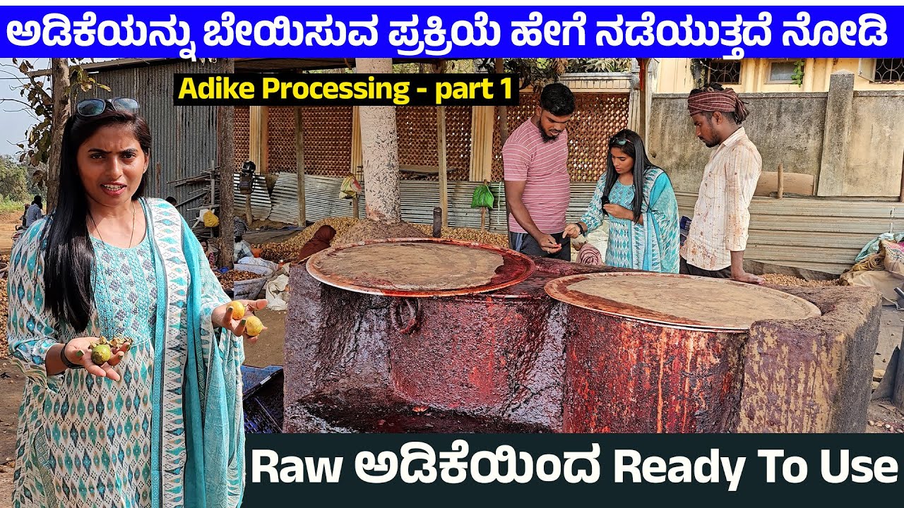 ಅಡಿಕೆ ಬೇಯಿಸಲು ಏನೆಲ್ಲಾ ಉಪಯೋಗಿಸುತ್ತಾರೆ ಗೊತ್ತಾ!! Red Areca Nut - Adike Processing - Digital Maadhyama