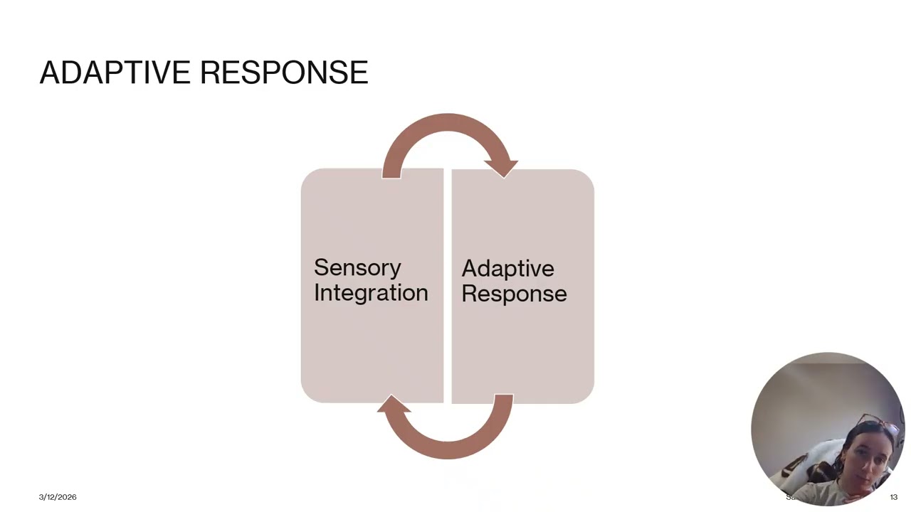 Sensory Integration Module 3- Ayres