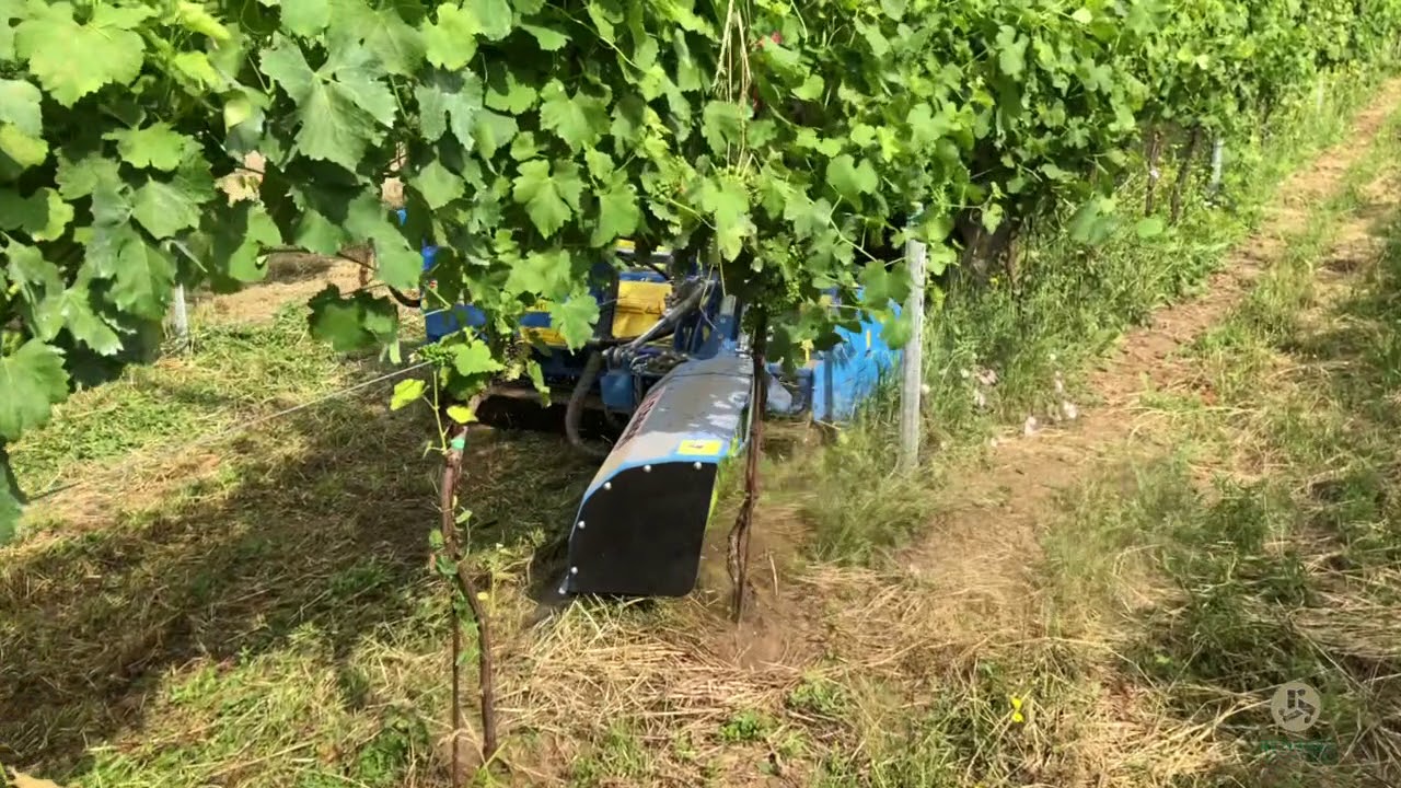 PROVA IN CAMPO di un trincia TFA 1600 Zanon + Diserbatore Interfilare DMI