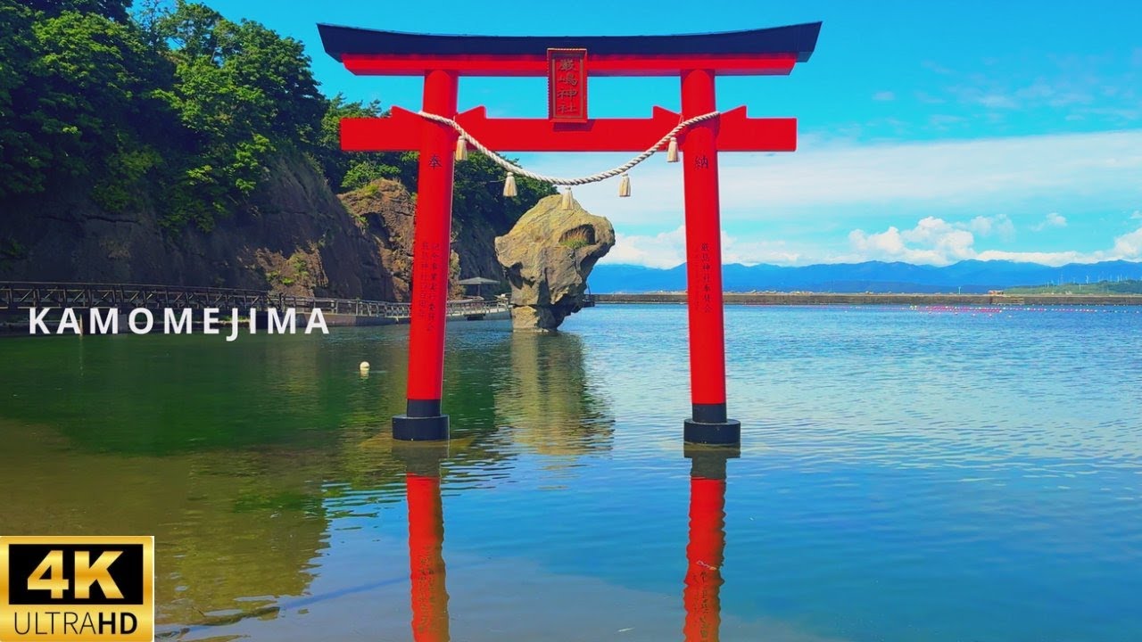 【2分の癒し】北海道・鷗島と千本ナラ｜海と森に宿る祈りの風景