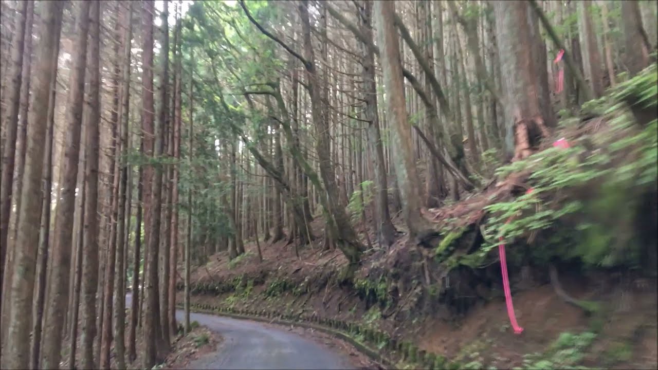 山梨県 林道 丸山線（通行止め）