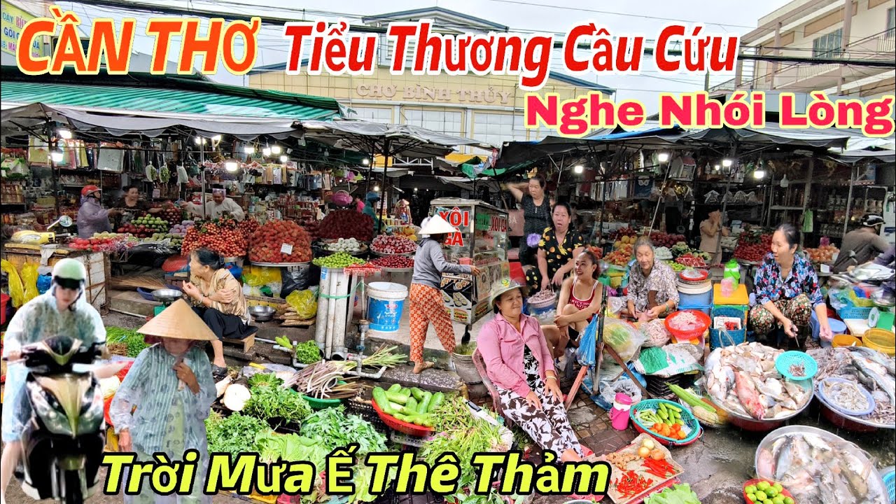 CẦN THƠ Tiểu Thương Than Ế Nghe Mà Nhói Lòng, Mua Bán 
