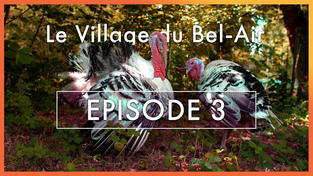 Episode 3 · Les autres habitants · Le Village du Bel-Air