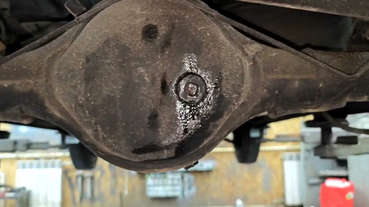 Suzuki Everi и вместе с ней много удивлений для нас