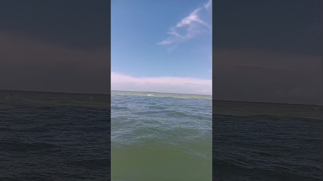 Egmont key light house (beach)