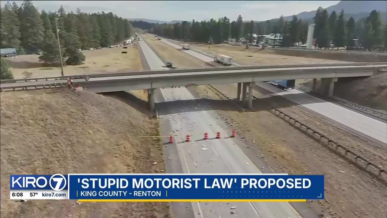 ‘Stupid Motorist Law’ proposed