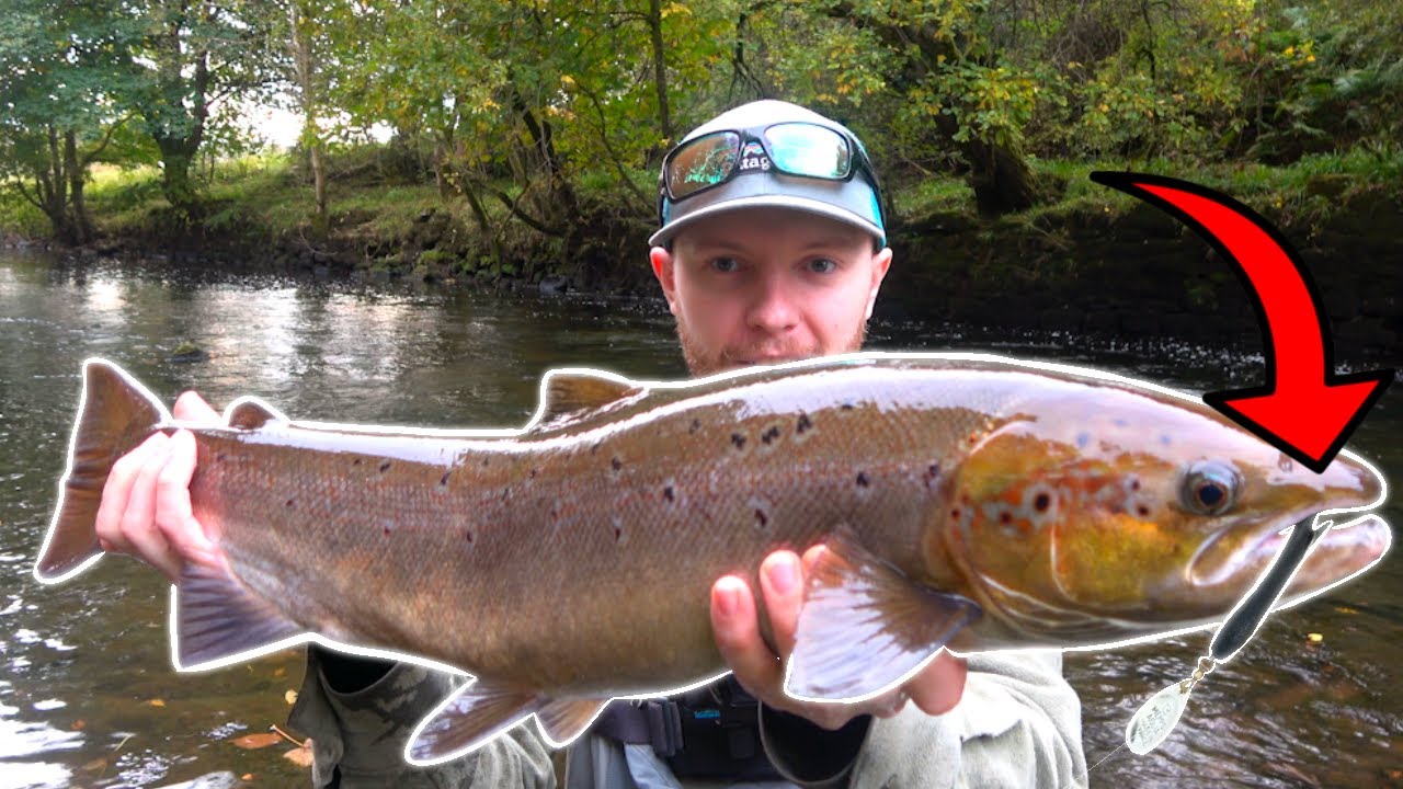 How To Catch Salmon On The Flying C! (Most Effective Salmon Lure)