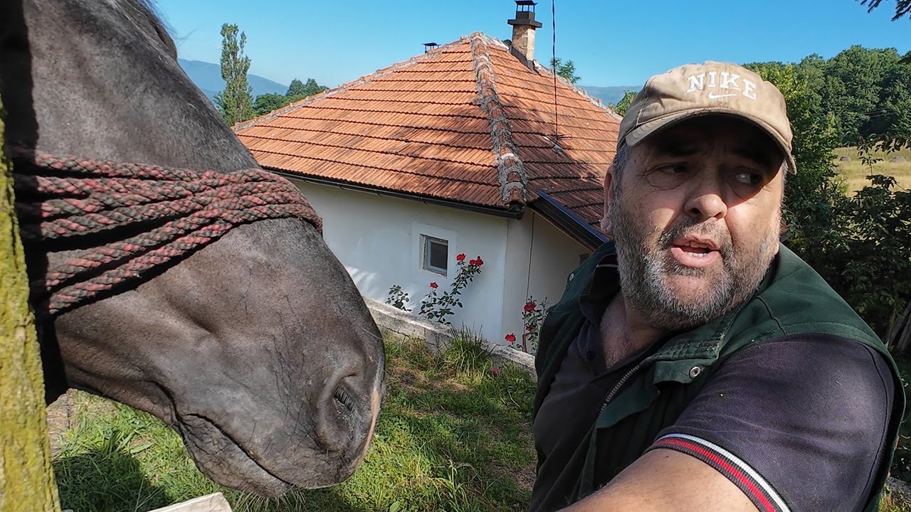 Hajvan - taxi Ibrahimu dovezao konja na potkivanje