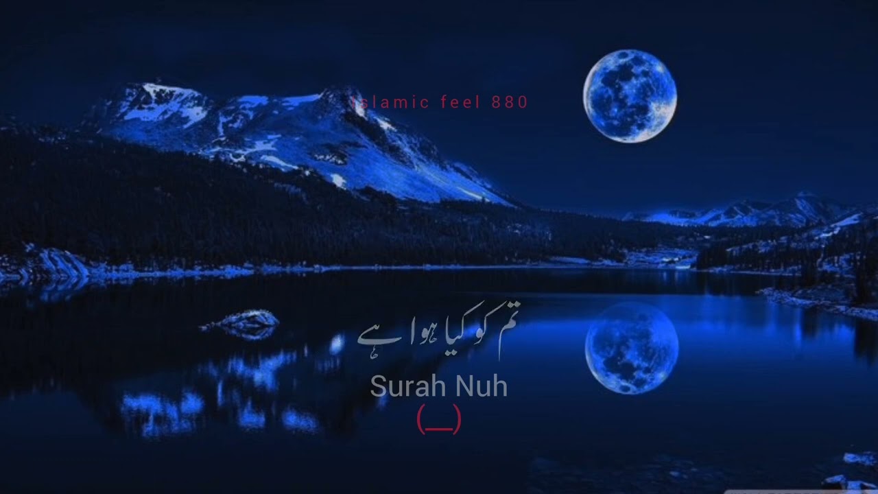surah Nuh Quran recitation Urdu Translation #islamicvideo #quranictranslation 