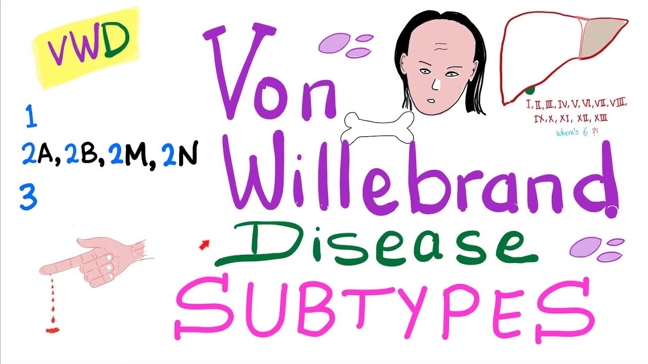 Von Willebrand Disease (VWD) Subtypes: Type 1, 2A, 2B, 2M, 2N, and 3