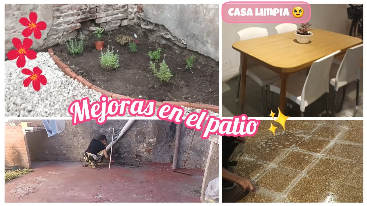 Poniendo bonito el patio🥰 Casa de alquiler🏡Limpieza EXTREMA del piso 💯 