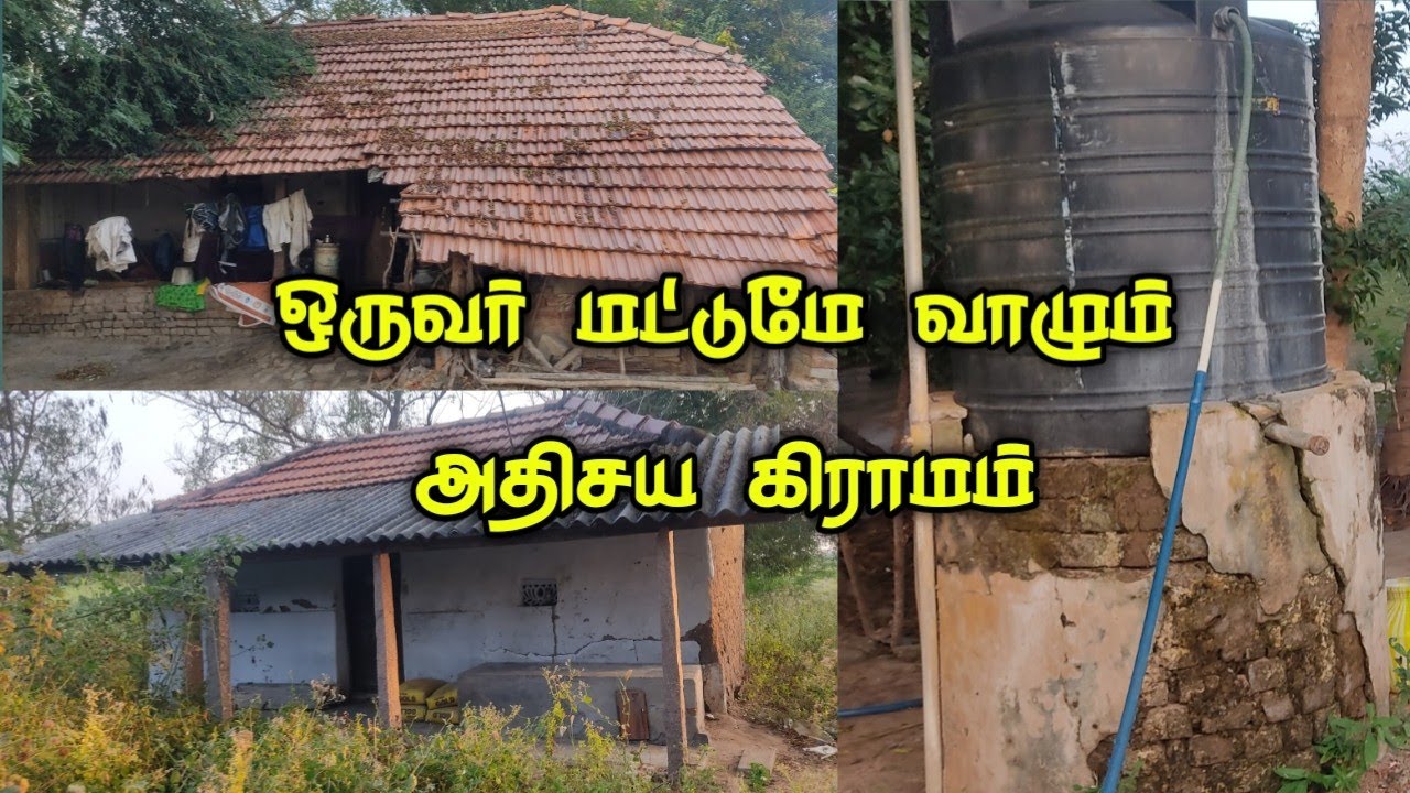 பாம்பு உடன் ஒரு ஆள் மட்டுமே வாழும் அதிசய கிராமம் ஆளில்லாத கிராமத்தில் தனிமையில் வாழும் பெரியவர்