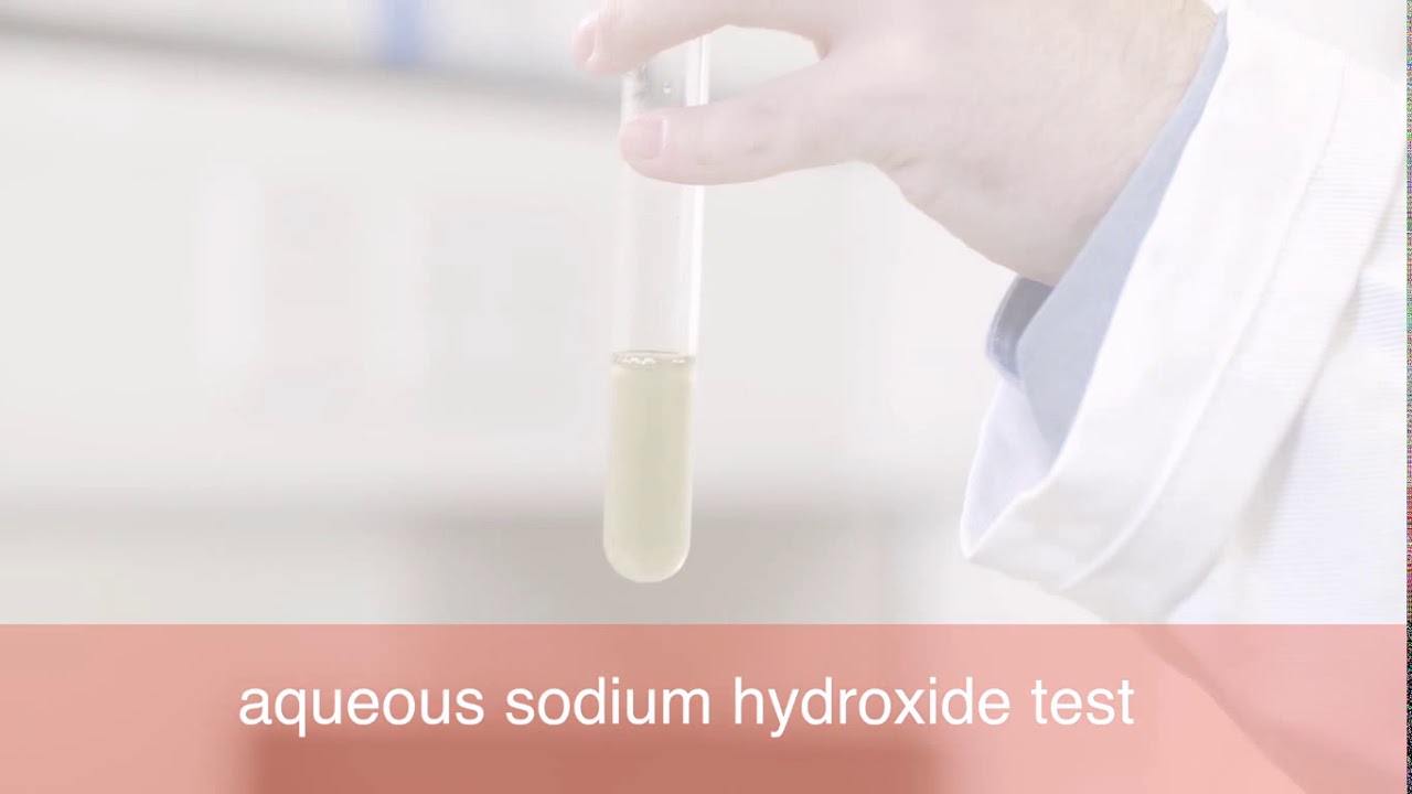 IGCSE Lab: Tests for aqueous cations 1