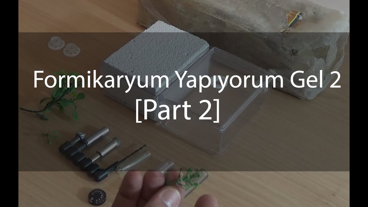 Formikaryum Yapıyorum Gel! - Part 2