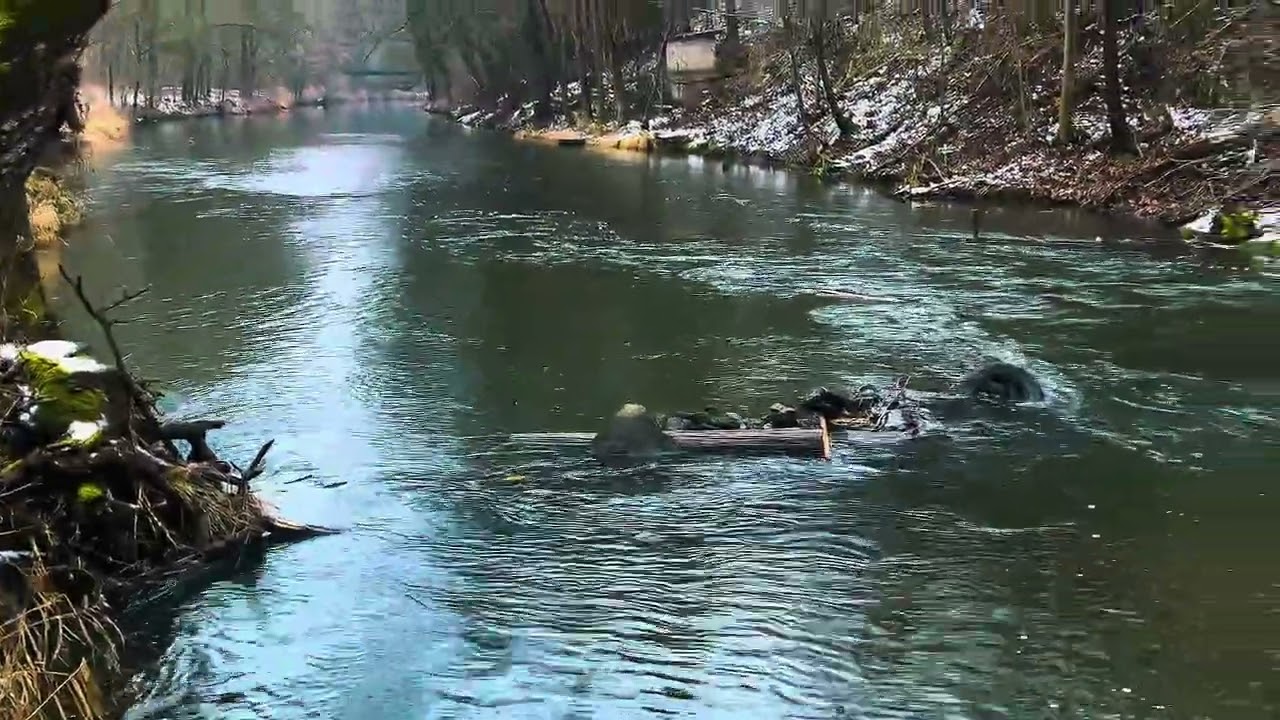 Prvni vycházka na ryby v roce 2026 