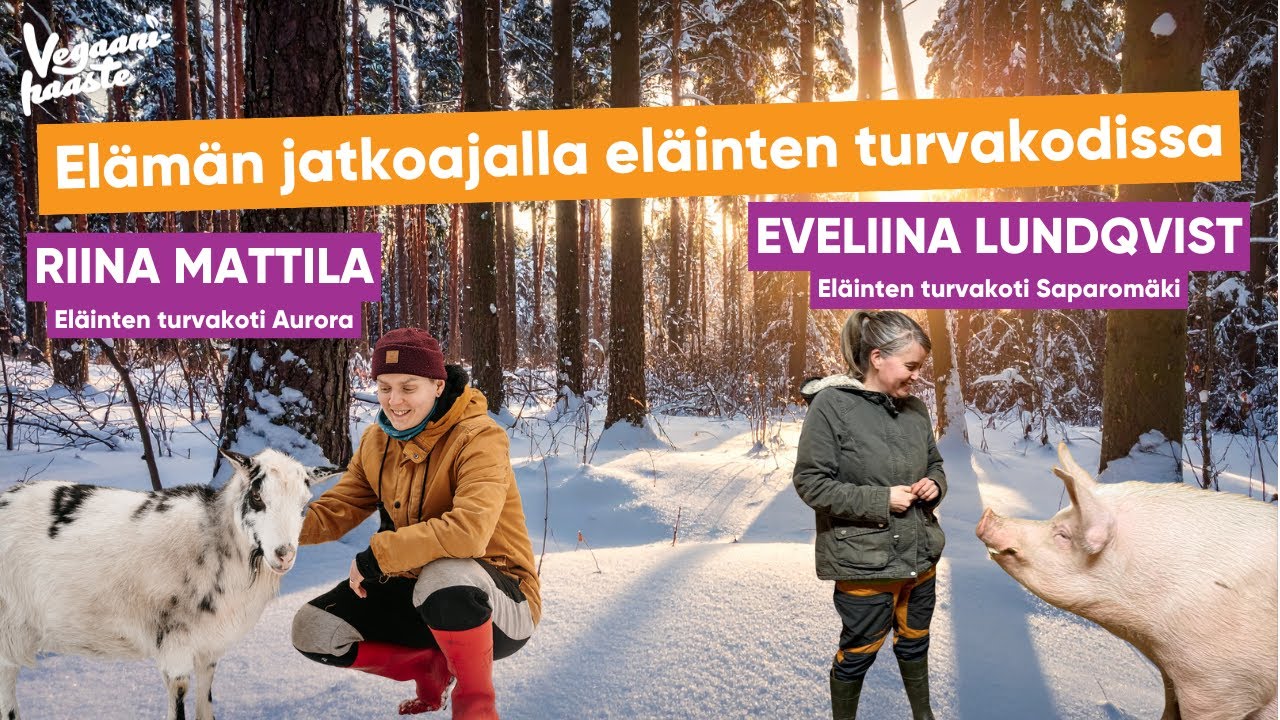 Elämän jatkoajalla eläinten turvakodissa