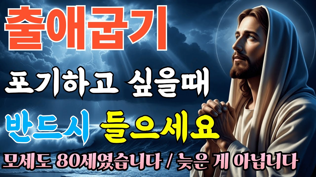 출애굽기 핵심정리ㅣ광야 40년에 숨겨진 하나님의 3가지 계획ㅣ성경말씀ㅣ말씀묵상ㅣ자면서듣는성경