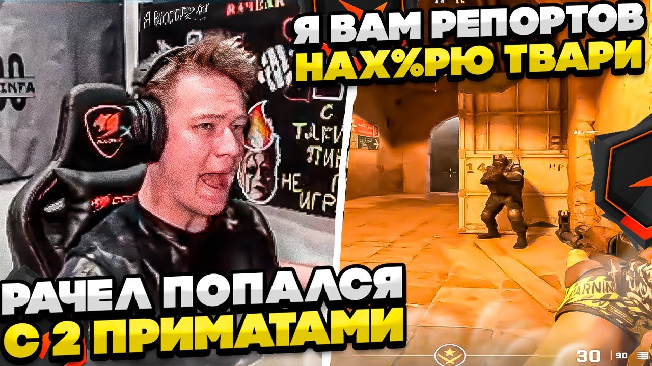⚡РАЧЕЛ ПОПАЛСЯ С 2 ПРИМАТАМИ! #rachel #рачел #insilio #cs2 #rachel