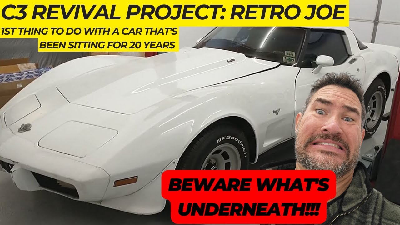 C3 Corvette Restoration part1: Retro Joe Project Intro (phobia trigger warning)