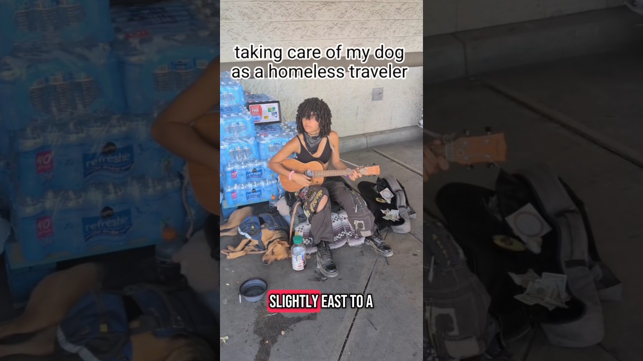 #nomad #travel #homeless #dog #busking