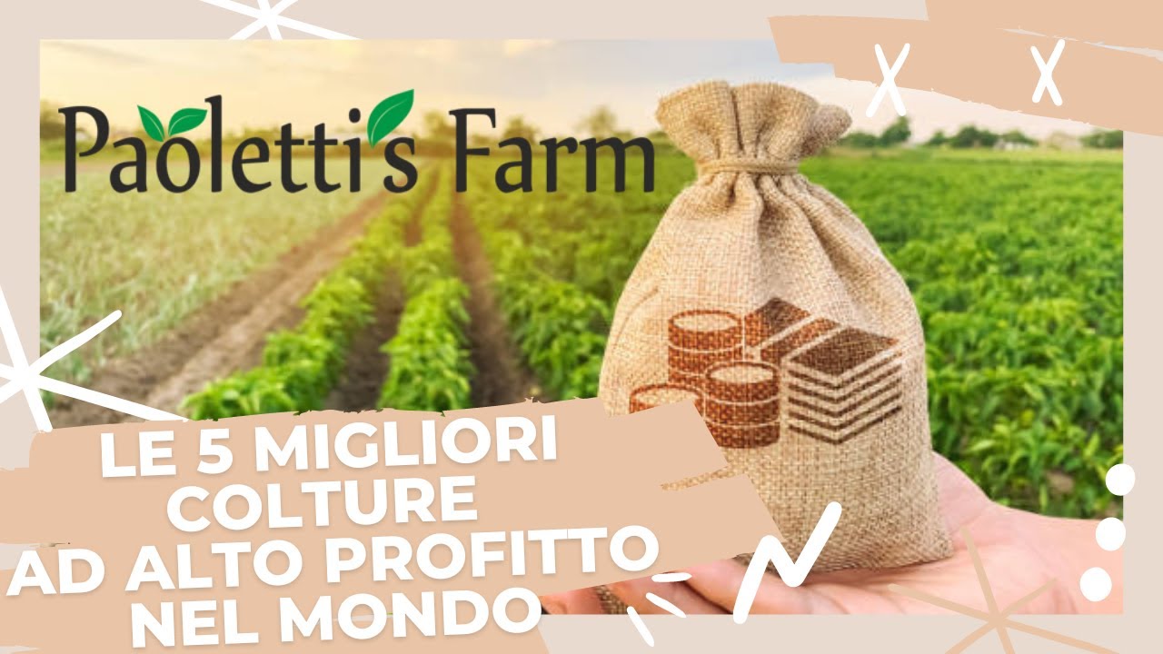 Le 5 Migliori Colture ad Alto Profitto nel Mondo