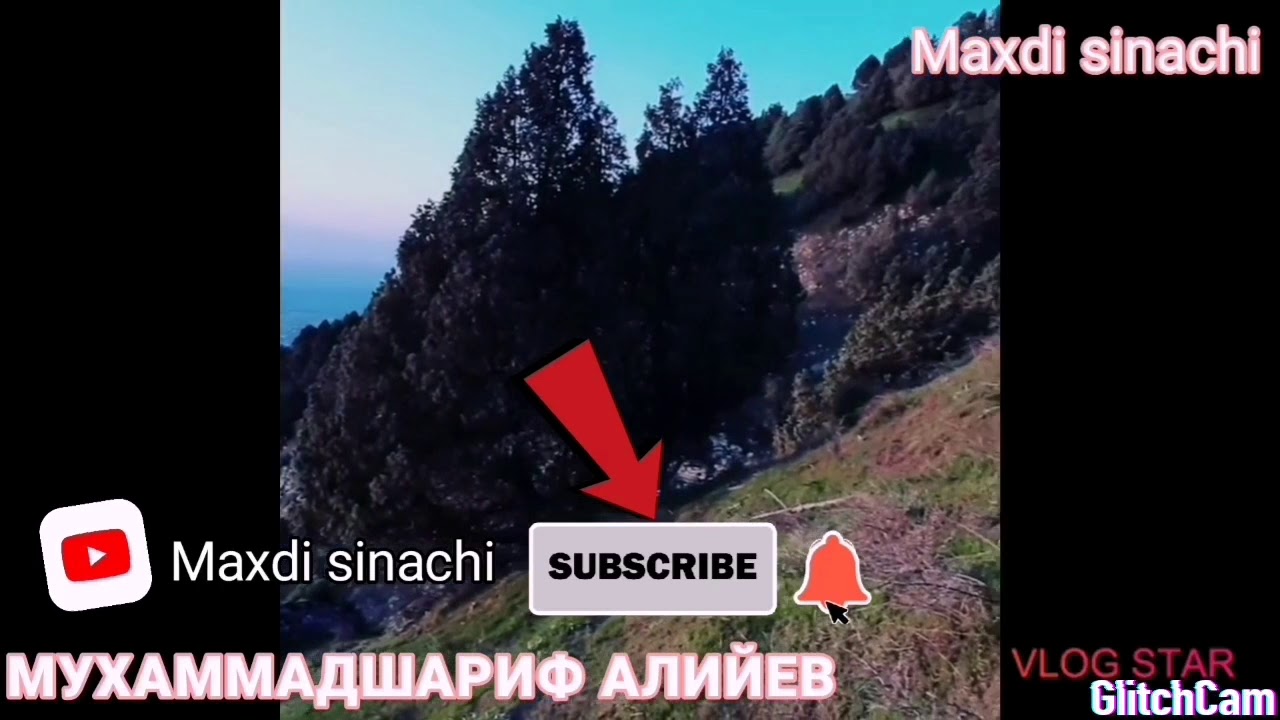 MAXMATSHARIF ALIYEV QUSHUQLARI KILIPDA SINA MANZARALI