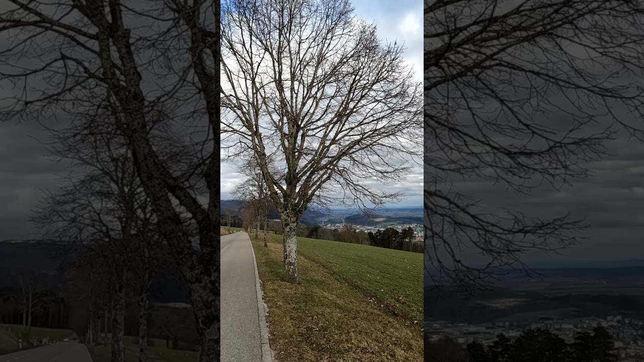 Switzerland - Biel/Bienne, Magglingen/Macolin 38 #shorts