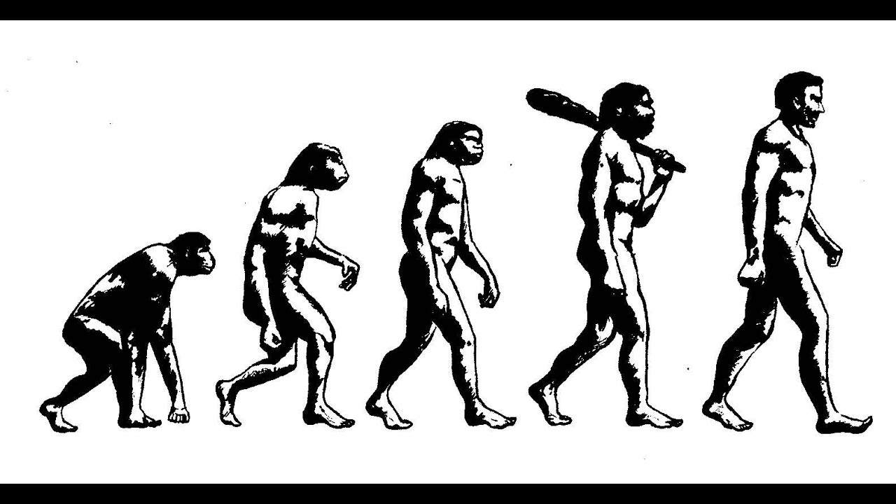 Intro to Philosophy 2: Evolution and Morality